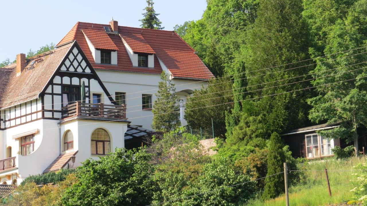 Ferienhaus Elbsommer Am Weinberg II Мейсен Экстерьер фото